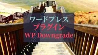 ワードプレス_プラグインwp-downgrade